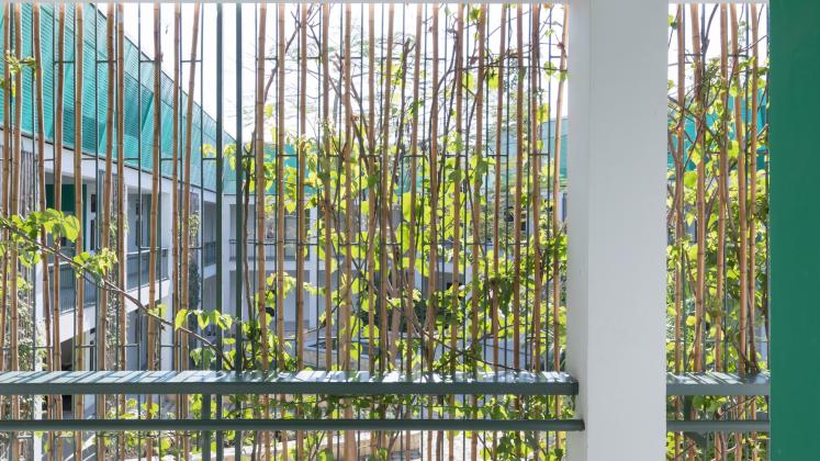 Photo of GHESKIO Tuberculosis Hospital, Photo by Iwan Baan, Bamboo screen