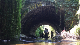 still from the "This is Poughkeepsie's Fall Kill" video of people walking through the creek.