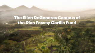 The Ellen DeGeneres Campus of the Dian Fossey Gorilla Fund